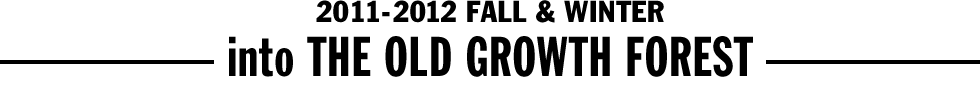 2011-2012 FALL & WINTER - into THE OLD GROWTH FOREST