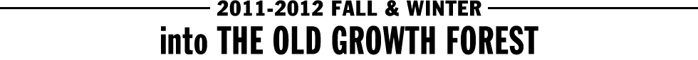 2011-2012 FALL & WINTER - into THE OLD GROWTH FOREST