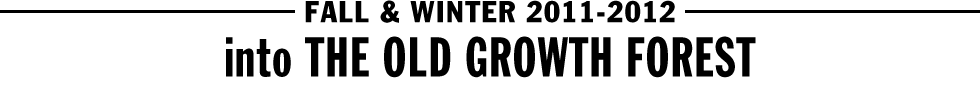 FALL & WINTER 2011-2012 - into THE OLD GROWTH FOREST